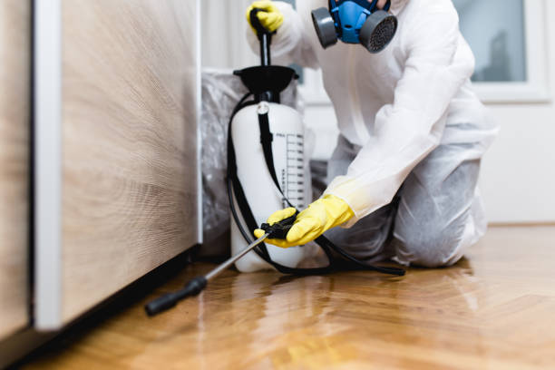 Best Wasp Removal Services  in , OR