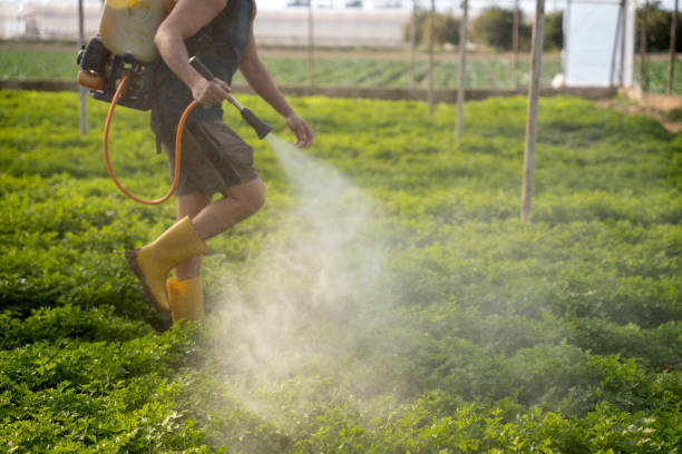 Best Residential Pest Control  in , OR