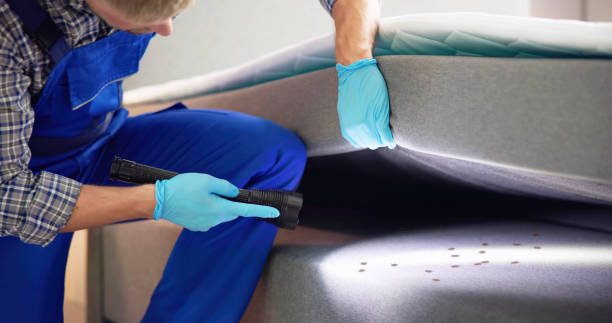 Best Termite Control Services  in , OR