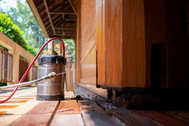 Best Insect Control  in , OR