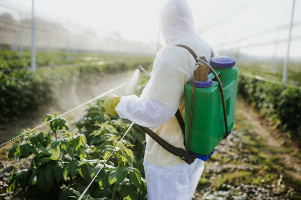 Best Emergency Pest Control  in , OR